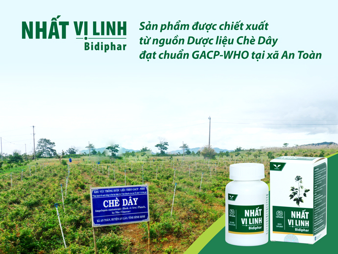 BIDIPHAR ĐỒNG HÀNH CÙNG ĐỒNG BÀO BANA BẢO VỆ TÀI NGUYÊN RỪNG VÀ PHÁT TRIỂN KINH TẾ