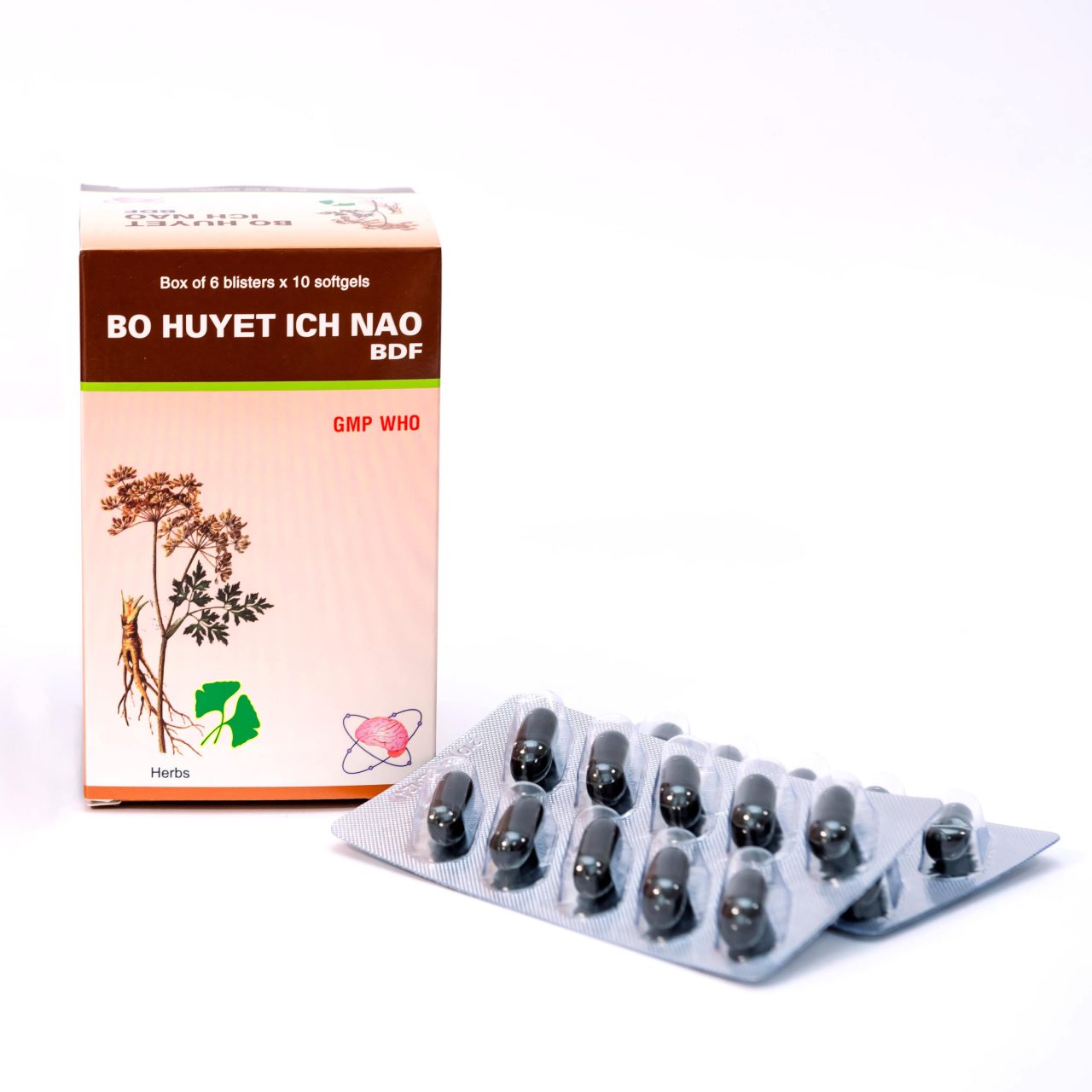 Bổ huyết ích não BDF
