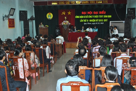 Đại hội đại biểu công đoàn công ty Dược – TTBYT Bình Định lần thứ VI (Nhiệm kỳ 2012 - 2017)