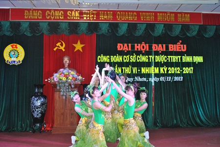 Đại hội đại biểu công đoàn công ty Dược – TTBYT Bình Định lần thứ VI (Nhiệm kỳ 2012 - 2017)