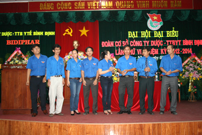 Đại hội đại biểu Đoàn Cơ sở Công ty Dược – Trang thiết bị Y tế Bình Định nhiệm kỳ 2012 – 2014