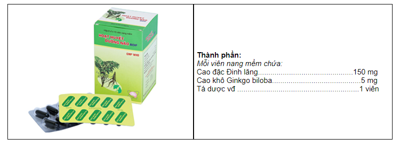 Đinh Lăng – Dược liệu quý giúp hoạt huyết dưỡng não, bồi bổ sức khỏe