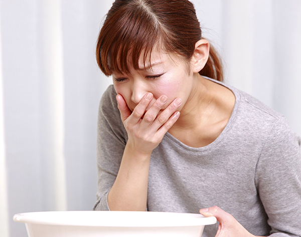 Đinh Lăng – Dược liệu quý giúp hoạt huyết dưỡng não, bồi bổ sức khỏe