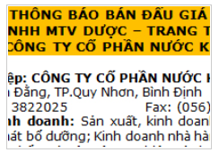 Thông báo bán đấu giá lần đầu CTCP Nước Khoáng Quy Nhơn