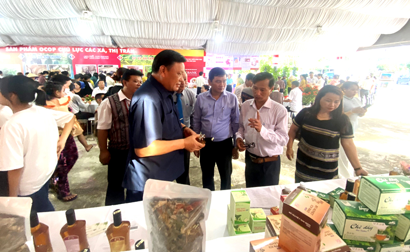 “ĐẶC SẢN DƯỢC LIỆU HỮU CƠ” HÚT KHÁCH TẠI LỄ HỘI DU LỊCH HÈ HUYỆN AN LÃO NĂM 2023